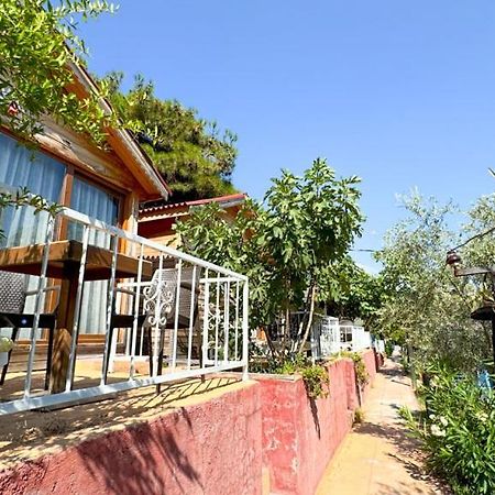 לינה וארוחת בוקר Ayvalı Gaia Bungalow מראה חיצוני תמונה